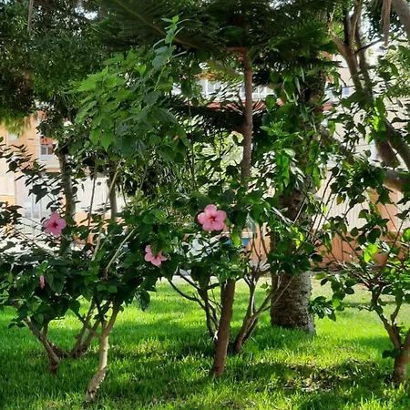 Sol34 Lägenhet Torrevieja