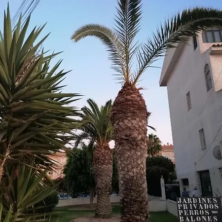 アパート Sol34 *